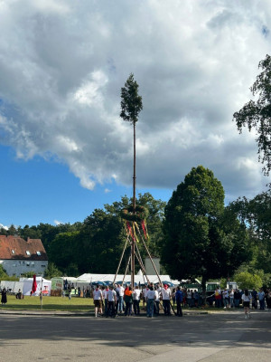 kerwa24 bamaufstellen kerwa24 bamaufstellen