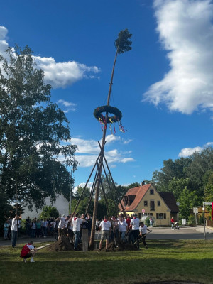 kerwa24 bamaufstellen kerwa24 bamaufstellen