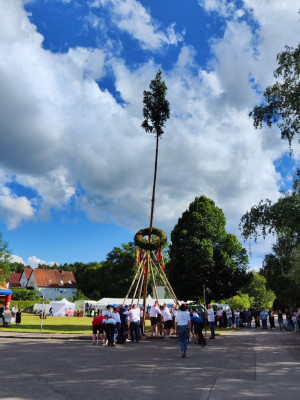kerwa24 bamaufstellen kerwa24 bamaufstellen