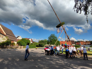 kerwa24 bamaufstellen kerwa24 bamaufstellen