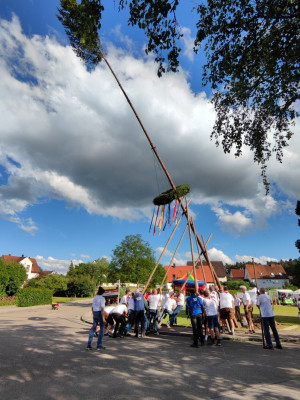 kerwa24 bamaufstellen kerwa24 bamaufstellen