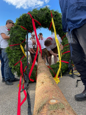 kerwa24 bamaufstellen kerwa24 bamaufstellen