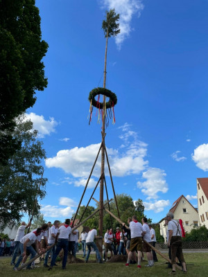 kerwa24 bamaufstellen kerwa24 bamaufstellen