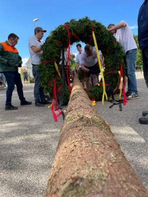kerwa24 bamaufstellen kerwa24 bamaufstellen