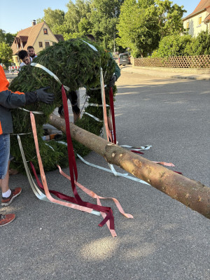 kerwa25 baumaufstellen