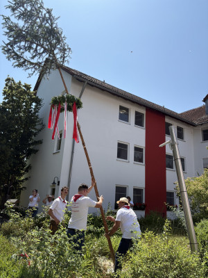 kerwa25 baumaufstellen awo