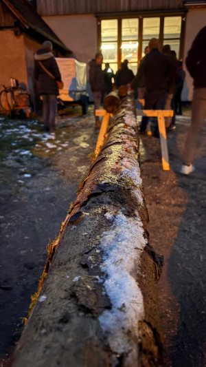 whatsapp image 2026 01 11 at 11.23.43  